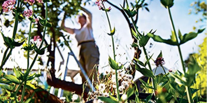 Le Groupe L’OCCITANE rejoint « One Planet Business for Biodiversity » 