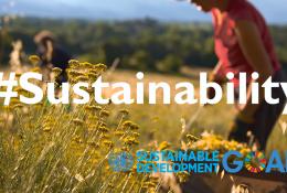 Sustainable Business