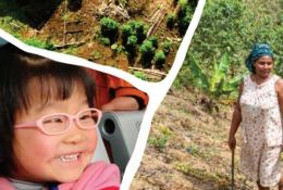 This image features a collage of three distinct elements. In the top section, there is an aerial view of a forested area with patches of greenery and cleared land. The bottom left shows a smiling young child with short hair and pink glasses, dressed in a pink jacket. On the right, a woman in a patterned dress and headscarf walks through a sloped field, holding a walking stick, with rows of small plants in the background. The image represents themes of community, nature, and agriculture.